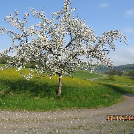Ferienwohnung Rhoen Kaltennordheim ภายนอก รูปภาพ