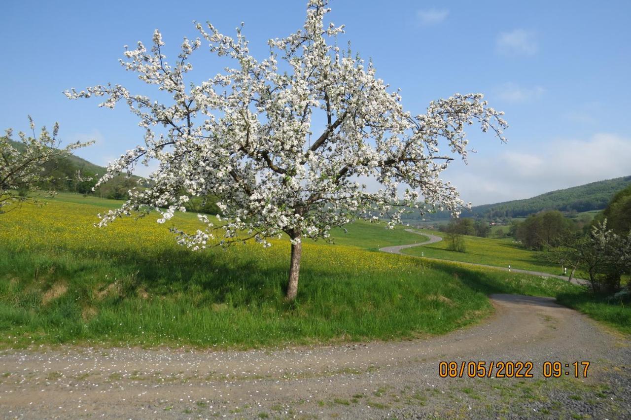 Ferienwohnung Rhoen Kaltennordheim ภายนอก รูปภาพ